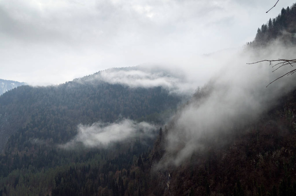 Stolsels van mist in de bergen, Abchazië. - Foto, afbeelding