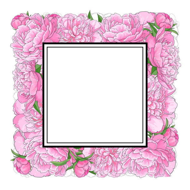 Hand-drawn peony flowers forming square frame - Вектор, зображення