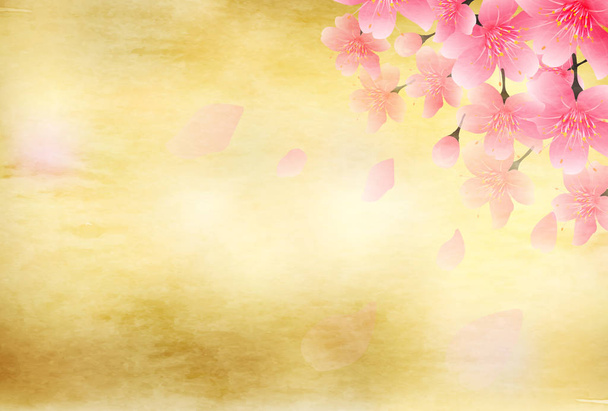 Kirsikankukat Kevään tausta
 - Vektori, kuva