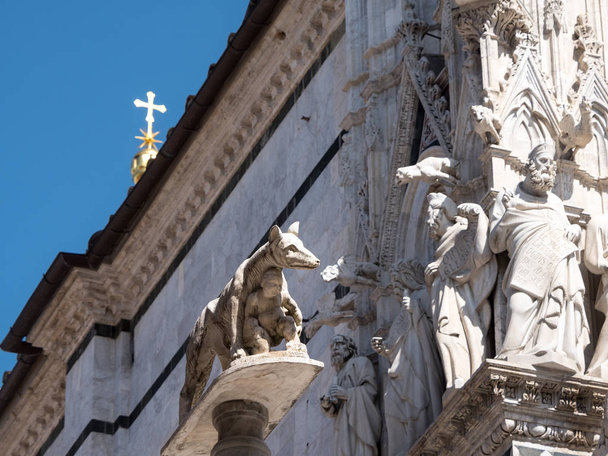 Estátua do Lobo Capitolino em Siena
 - Foto, Imagem