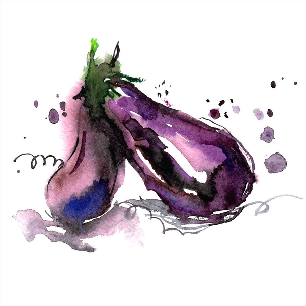 Patlıcan beyaz zemin üzerine suluboya el boyalı. Yaratıcı yiyecekler illüstrasyon - Fotoğraf, Görsel