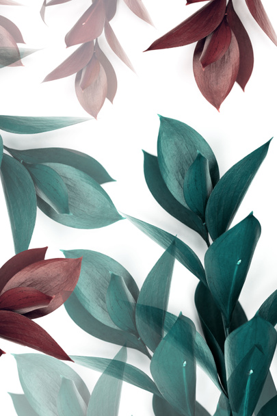 Turquoise en bruine bladeren op twijgen geïsoleerd op wit - Foto, afbeelding