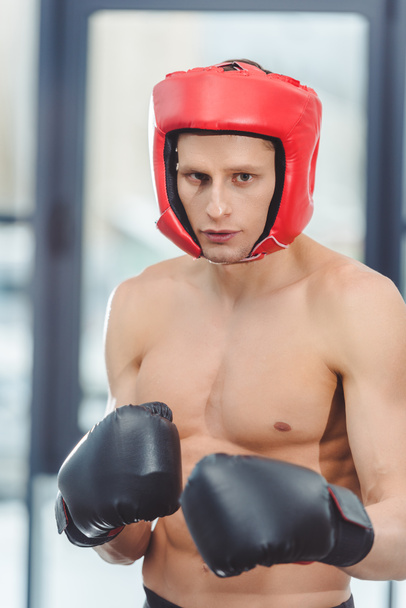 young shirtless muscular boxer looking at camera in gym   - Foto, immagini