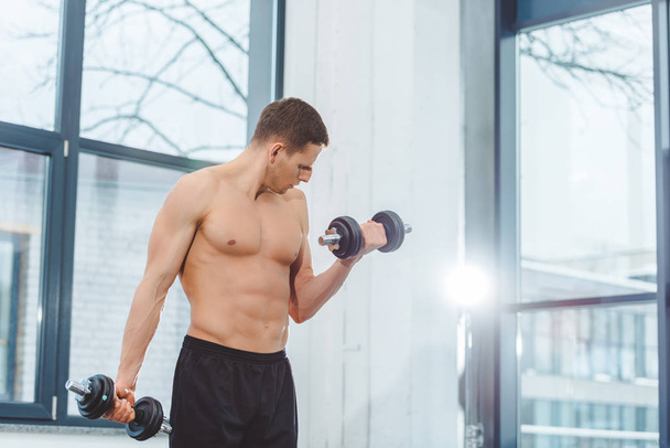 muscular shirtless sportsman training with dumbbells in gym - Фото, зображення
