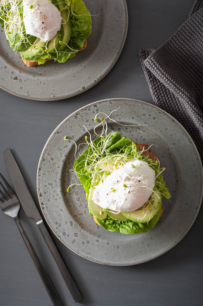 breakfast toast with avocado, poached egg and alfalfa sprouts - 写真・画像
