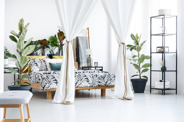 Floral bedroom interior with plants - Photo, Image