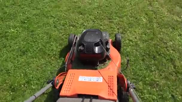 Barefoot worker man guy cut trim meadow grass with lawn mower. 4K - Footage, Video