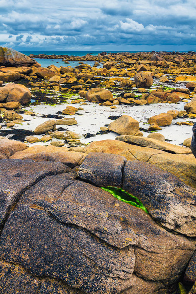 Moss taş ve kıyı şeridi Brittany (Bretagne), Fransa - Fotoğraf, Görsel