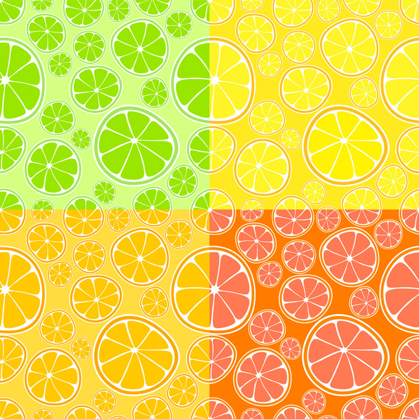 Vector background with citrus. - Vector, Image
