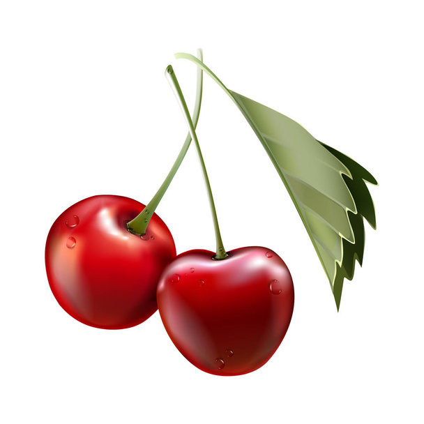 Red cherry. Two ripe berries with stalk. Realistic vector illustration with transparent shadows isolated on plaid background. Sweet fruits. 3d vector. - Vektori, kuva