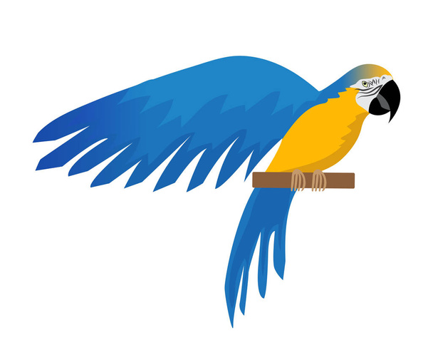 Papagei Ara ararauna flache Ikone, Cartoon-Stil. Blaugelber Ara-Charakter. Bunte Vögel fliegen. Vereinzelt auf weißem Hintergrund. Vektorillustration. - Vektor, Bild