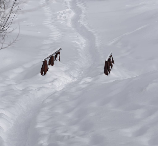Weg in diepe sneeuw passeert een houten brug - Foto, afbeelding