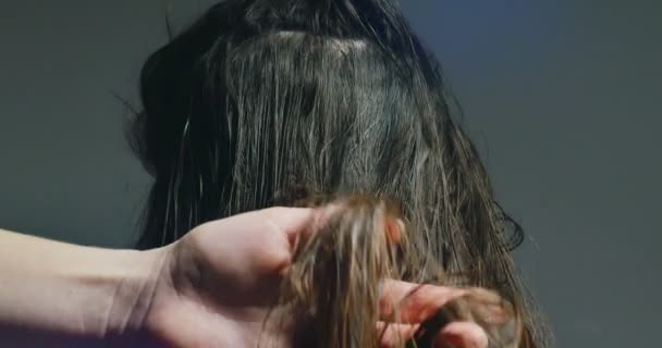 Mujer estilista peinando cabello. Preparación del cabello
 - Metraje, vídeo