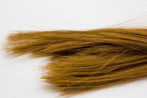 Светлый парик для волос. Прядь медовых светлых волос на белом фоне, вид сверху. Услуги парикмахера, прочность волос, стрижка, прическа, вымирание или окраска, наращивание волос, концепция лечения - Фото, изображение