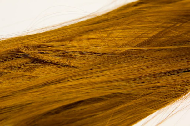 Блондинка перука. Стрендж медового світлого волосся на білому тлі, вид зверху. Перукарське обслуговування, міцність волосся, стрижка, зачіска, вмирання або забарвлення, розширення волосся, концепція лікування
 - Фото, зображення