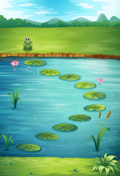 A frog and a lake - Vector, Image