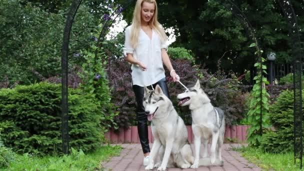 Mujer rubia con dos perros Husky en soporte de perro-plomo e ir en el parque
. - Metraje, vídeo