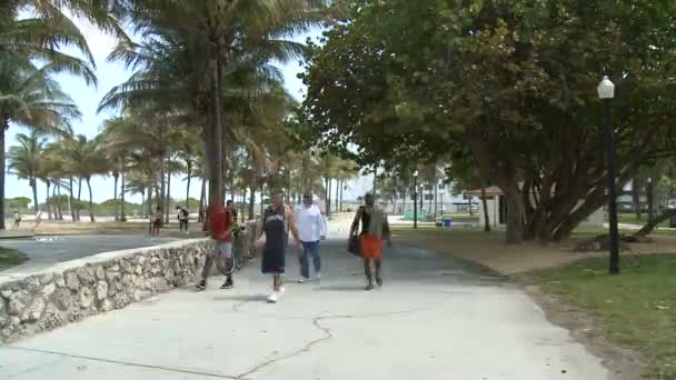 Time Lapse of Miami Beach Park - Felvétel, videó