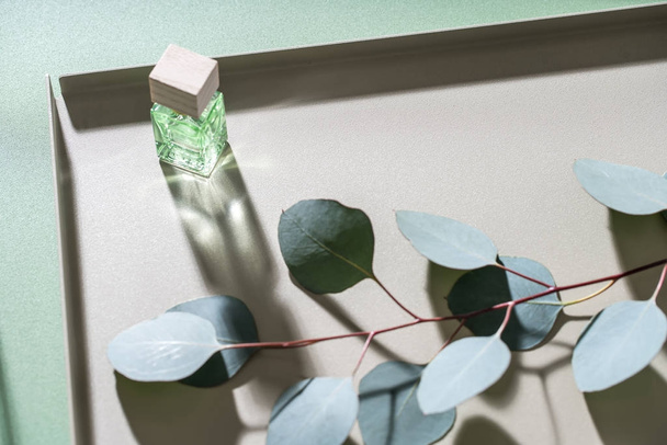 Green eucalyptus branch and glass jar - 写真・画像
