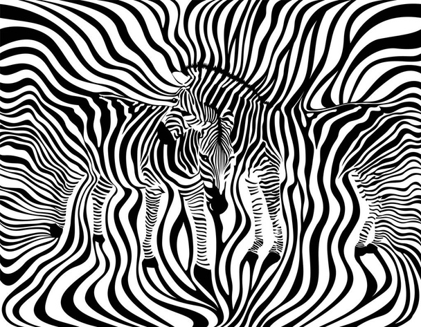Zebra Couple background, seamless pattern. Animal skin print texture. Black and white, wild animal. design trendy fabric,  vector illustration. - Vector, Image