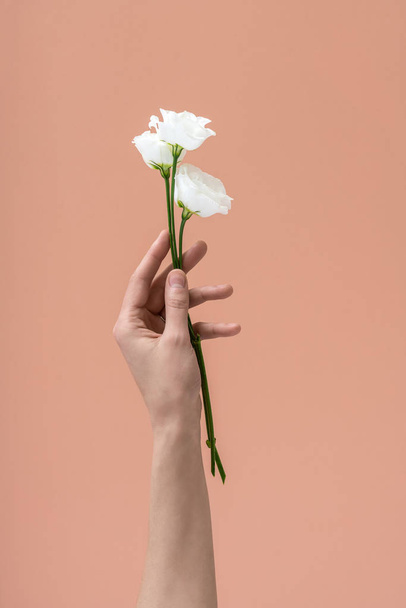 Womans hand holds white flowers - Fotografie, Obrázek