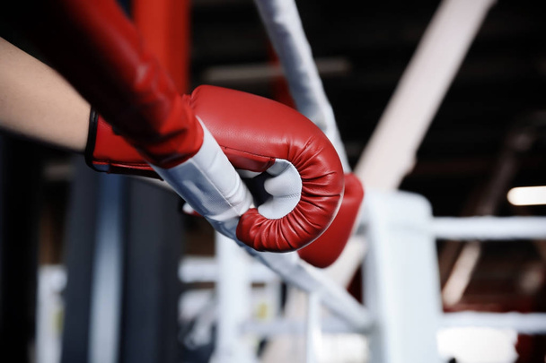 Boxer holding hands in gloves on rope of boxing ring - Фото, изображение