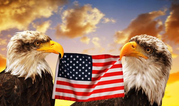 De Bald Eagles behaalde in de snavel van de Verenigde Staten vlag van de zonsondergang. - Foto, afbeelding