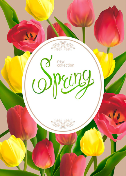 Bouguet di primavera di tulipani
 - Vettoriali, immagini