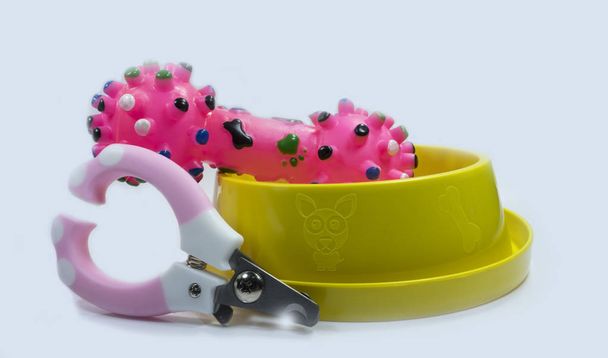 Pet supplies have collars, nail scissors. Bowls of food or water - Photo, Image