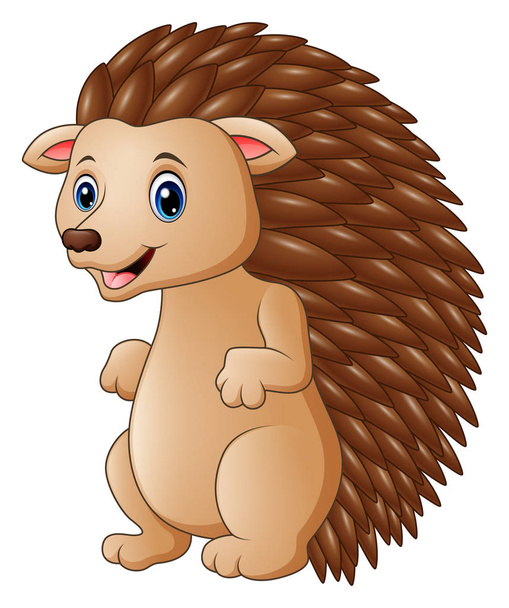 Vector illustration of Cute hedgehog cartoon - Vecteur, image