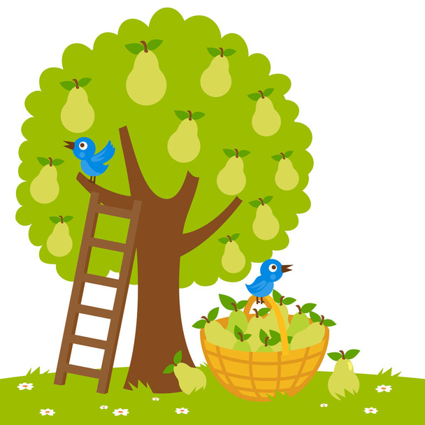 Pear tree harvesting - Διάνυσμα, εικόνα
