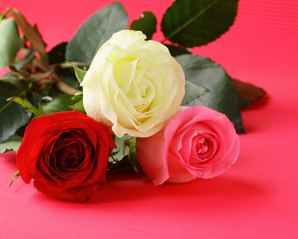 Fresh roses and gifts for the holiday Valentines Day - Photo, Image