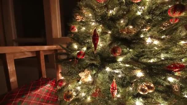 Χριστουγεννιάτικο δέντρο τη νύχτα - Πλάνα, βίντεο