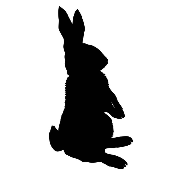 Bunny kemirgen siyah siluet hayvan - Vektör, Görsel
