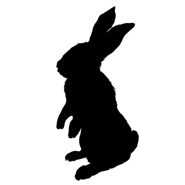 Bunny knaagdier zwarte silhouet dier - Vector, afbeelding