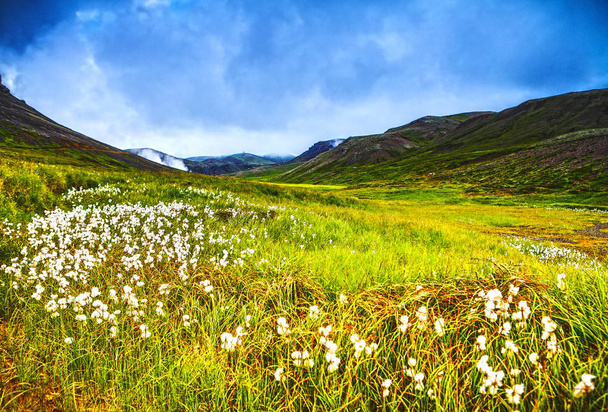 Krásná malebná krajina islandské přírody. - Fotografie, Obrázek