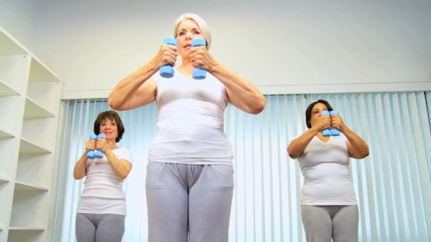 Class Retired Ladies Fitness Lifting Weights - Кадри, відео