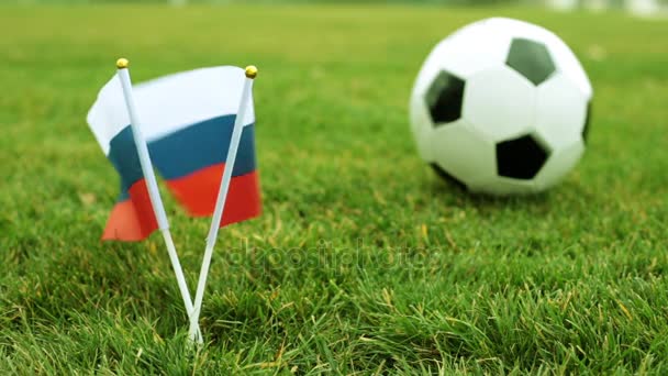 Σημαία της Ρωσίας και ποδόσφαιρο μπάλα. Σημαίες της Ρωσικής Ομοσπονδίας στην πράσινη χλόη και μια μπάλα ποδοσφαίρου. - Πλάνα, βίντεο