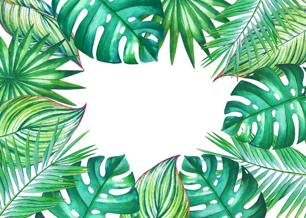 Watercolor frame with leaves of coconut palm tree isolated on white background. Illustration for design of wedding invitations, greeting cards with empty space for text. - Foto, immagini