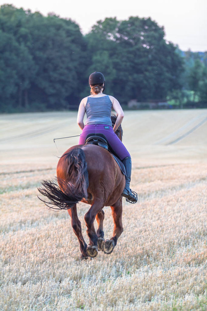 mladí na koni dívka  - Fotografie, Obrázek