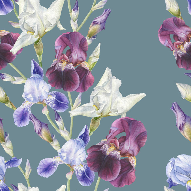 Floral seamless pattern with watercolor irises - Fotoğraf, Görsel