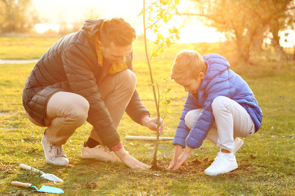 Father with little son planting tree outdoors - Photo, image