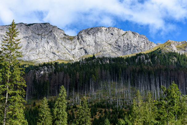 montañas de los Cárpatos eslovacos en otoño con bosques verdes
 - Foto, imagen