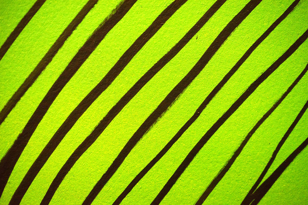 Abstracte patroon van zwarte lijnen op groen - Foto, afbeelding