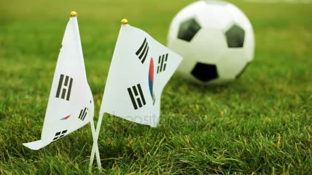 Флаги Южной Кореи и футбольный мяч на траве
. - Кадры, видео