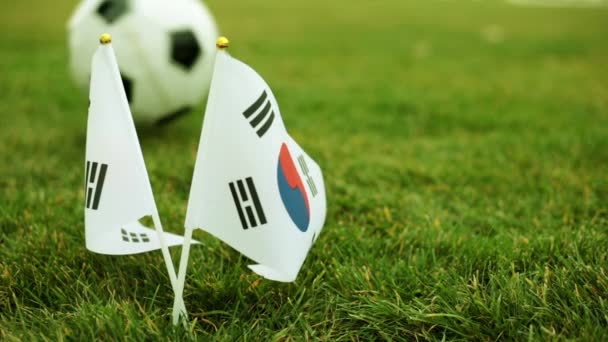 Флаги Южной Кореи и футбольный мяч на траве
. - Кадры, видео