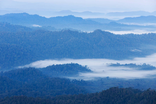 οριζόντια προβολή του sunrise σε μεγάλη γωνία προβολής με λευκή ομίχλη νωρίς το πρωί πάνω από το τροπικό δάσος βουνών στην Ταϊλάνδη  - Φωτογραφία, εικόνα