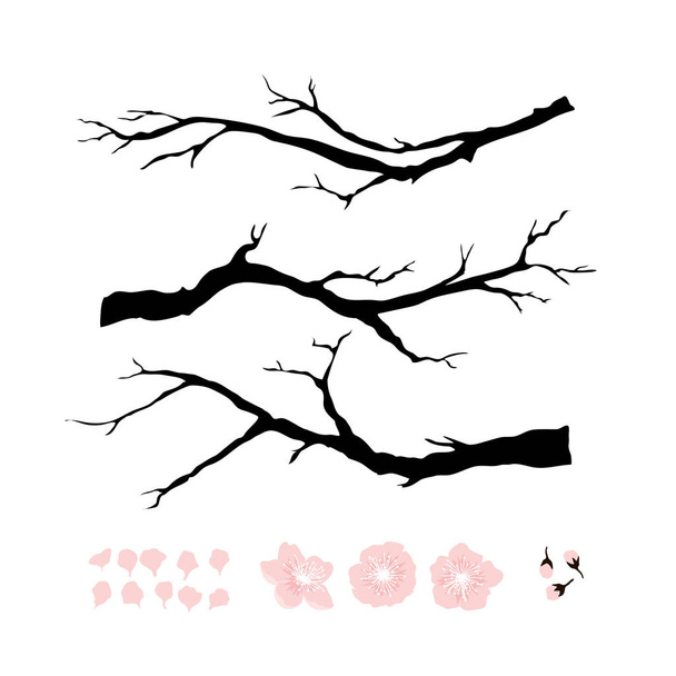 карточка со сливовыми ветвями и розовыми цветами, вектор, иллюстрация
  - Вектор,изображение