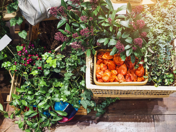 Cape gooseberry Plants and flower in Wooden Basket Farm product  - Foto, imagen