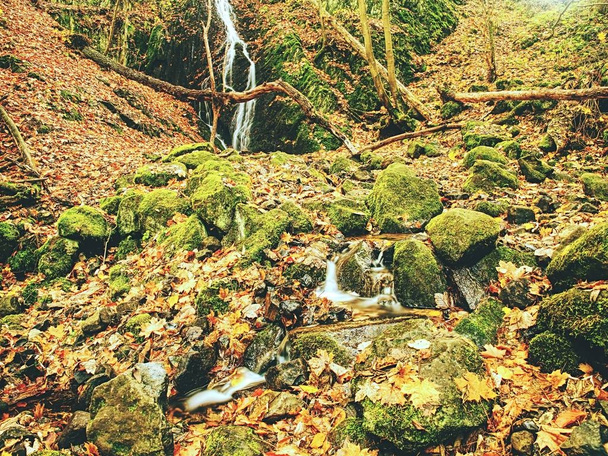 Πολύχρωμα φύλλα και αφρώδες γρήγορο ρεύμα. Φωτεινά χρώματα του φθινοπώρου στο ρεύμα μεταξύ whinstone βράχους. - Φωτογραφία, εικόνα